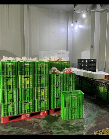 sysfdcrjdacenllncxqdrkg720260113